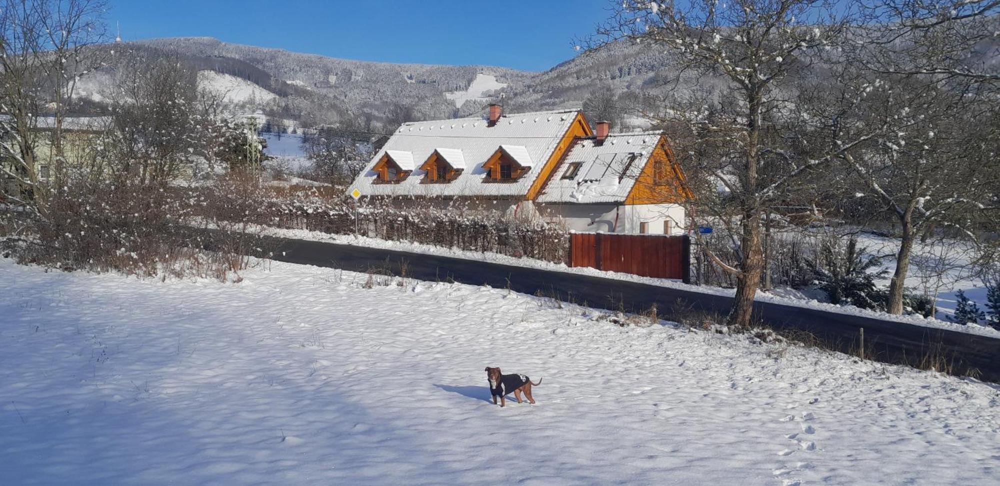 Apartman Pod Jestedem Svetla pod Jestedem Exterior foto